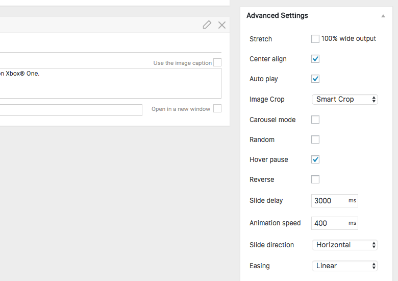 MetaSlider Advanced Settings