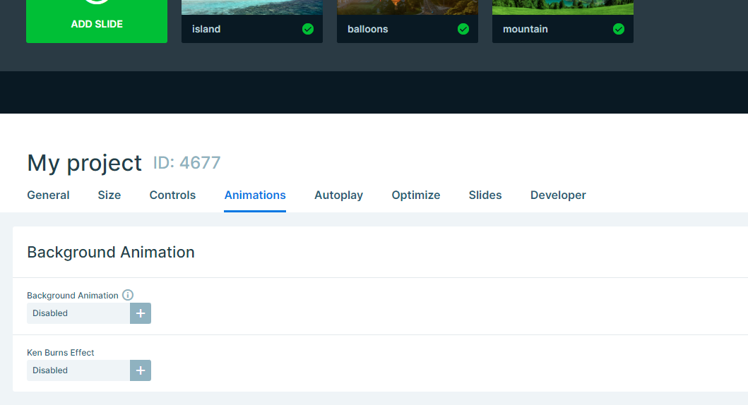 Background Animation settings in Smart Slider.